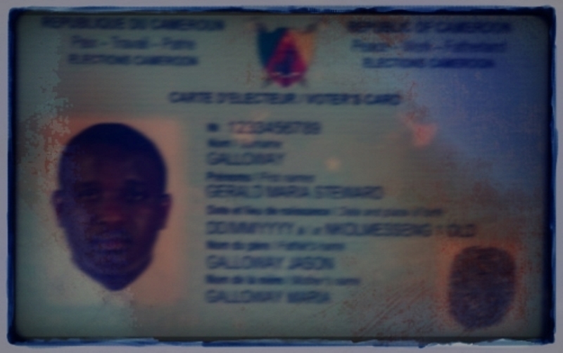 Article : Voter, c’est la pâte