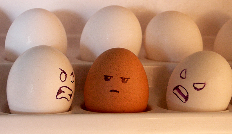 Article : Donald Trump ou le racisme sans scrupules