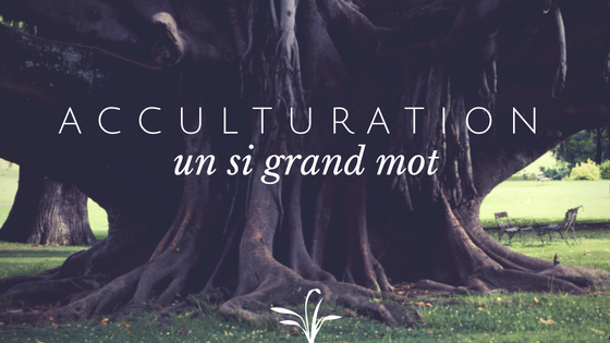 Article : Acculturation, ou culture délaissée